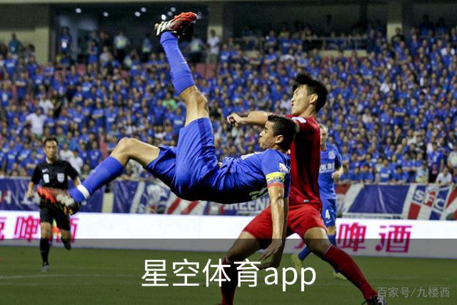 星空体育app平台介绍展示图